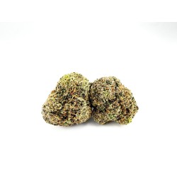 Lemon Cherry Gelato (Tops...