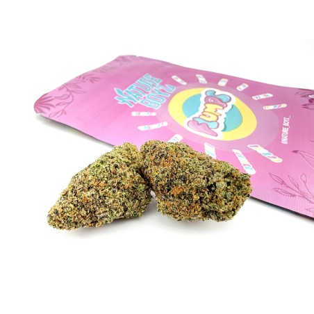 Flumps (Nature Boyz)