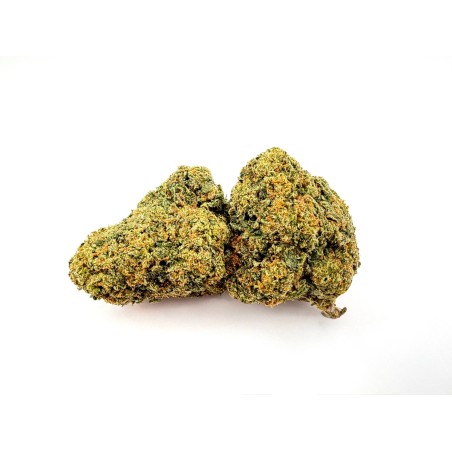 Gelato 41