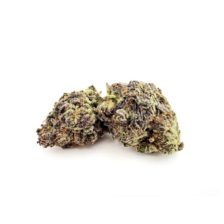 Purple Fuel