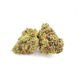 BK Satellite (Alien Labs)