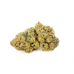 GDP Wilson