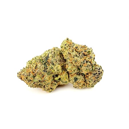 GDP Wilson