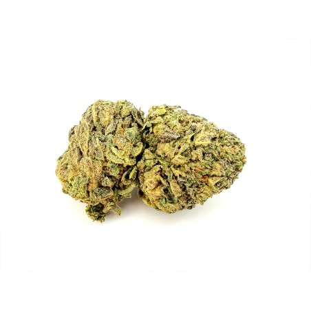 Truffle