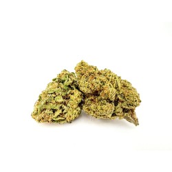 Urkle Kush