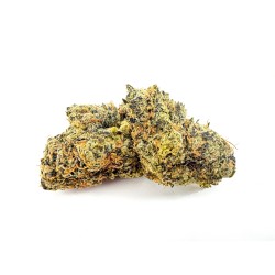 Capital Haze