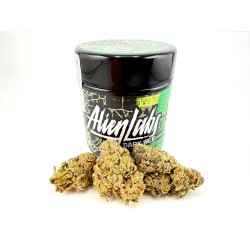 Dark Web (Alien Labs)