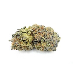 Jet Fuel Gelato