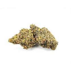 Black Gas