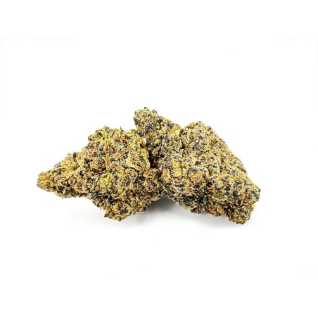 Black Gas