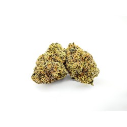 Slurricane