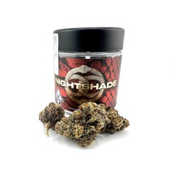 Nightshade (Connected)