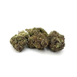 Jet Fuel