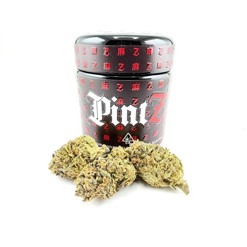 PintZ (Pintz x Terpanese)