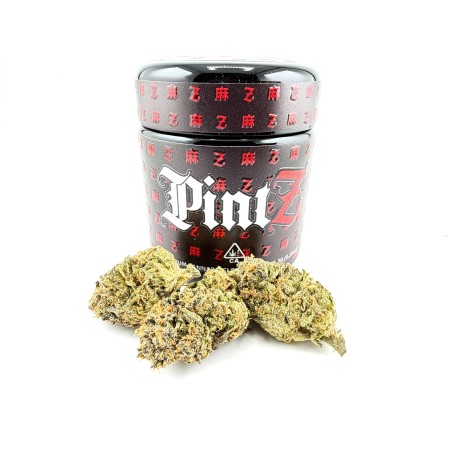 PintZ (Pintz x Terpanese)