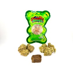 Standard Bundle