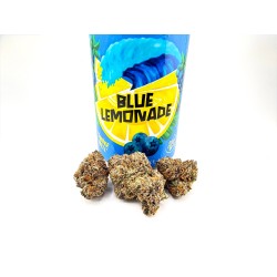 Blue Lemonade (North Bay Gardens x Sure Fire Selects)