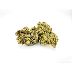 Blueberry Gelato