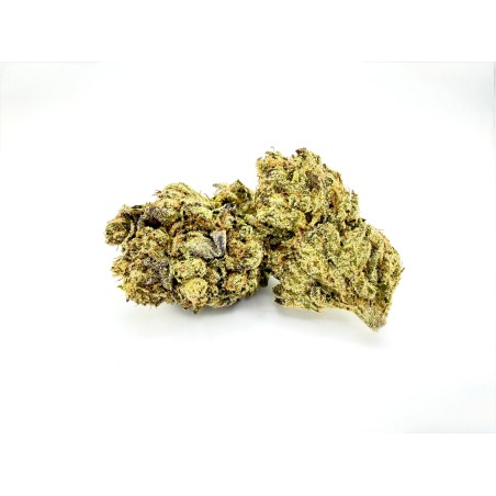 Blueberry Gelato
