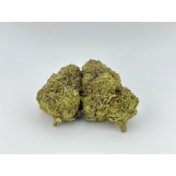 Candy Gelato