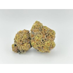 Purple Kush