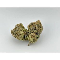 Lemon Cherry Gelato