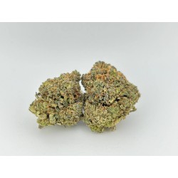Skywalker O.G