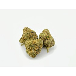 Biscotti by Connected