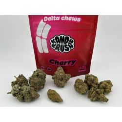 Stoners Bundle