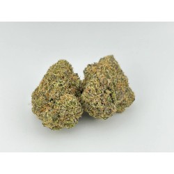 Cherry Biscotti (Doja Pak)