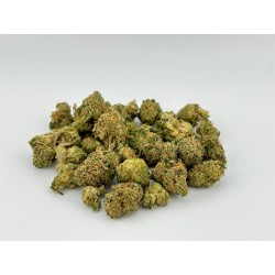 Z Tree (Popcorns)