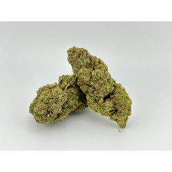 Lemon Poppers