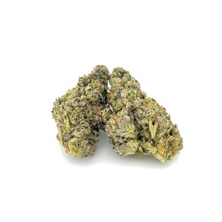 Blue Biscotti