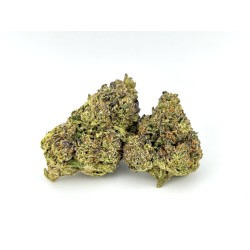 Sherb Cream Pie