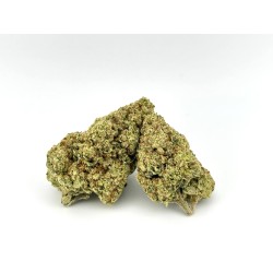 Papaya