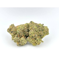 Cali Gas