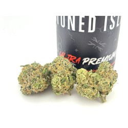 Pi-Chew