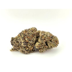 Dark Star
