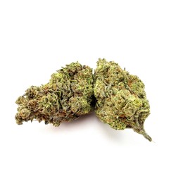 Triple Chocolate Chip