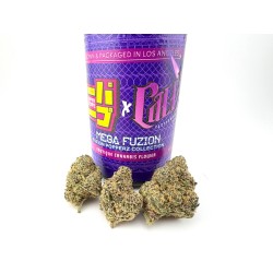 Mega Fuzion (Superdope x...