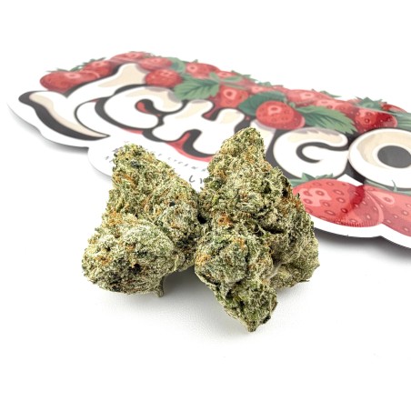 Ichigo (Rare Exotics)