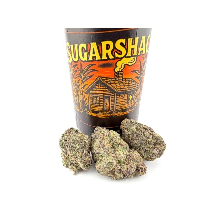 Sugar Shack (Blueprint)