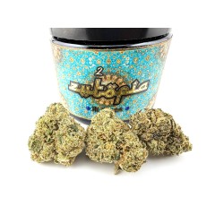 Zutopia (Jollygood x M Huncho)