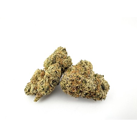 Goji Berry (Stoned Island)