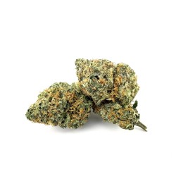 RS Cheese (Stoned Island)