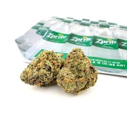 Zprite (Rare Exotics)