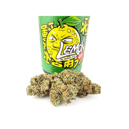 Lemon Up (Rare Exotics)